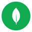 MongoDB